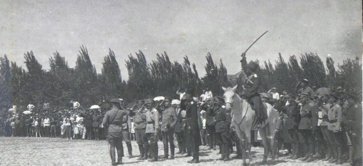 Белая гвардия в Крыму
