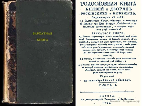 Бархатная книга &mdash; дворянский реестр России конца XVII века, куда вносились роды татарского происхождения