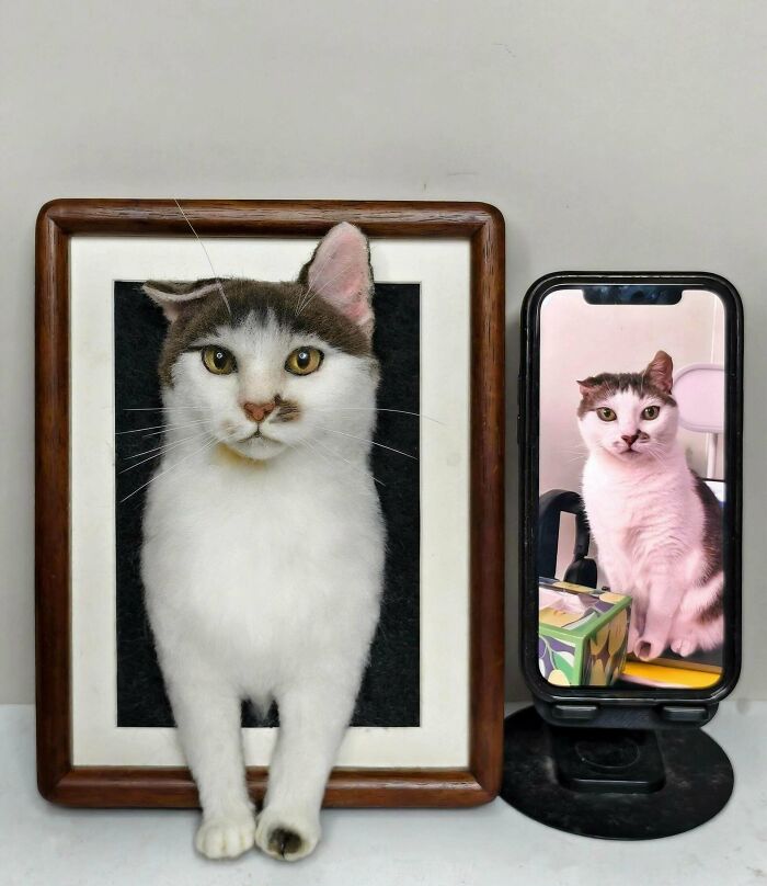 Валяный портрет кота в рамке рядом со смартфоном