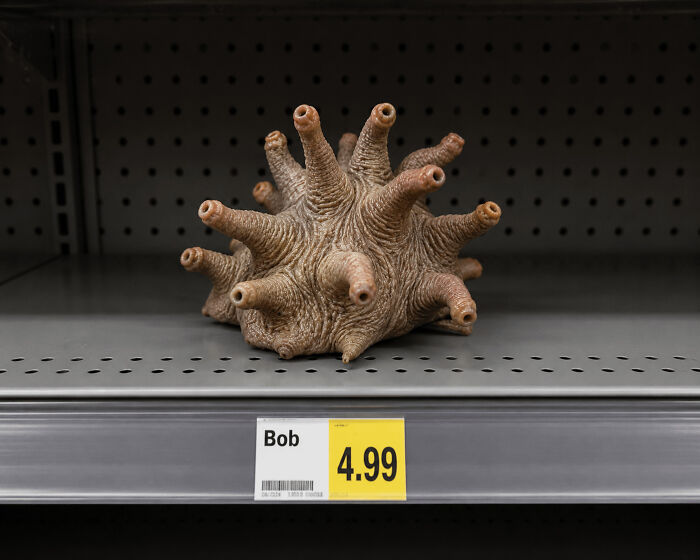 Шипастый объект на полке с ценником Bob 4.99