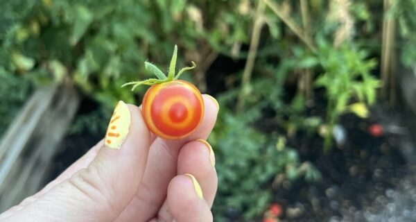 Необычное рядом: 32 раза, когда реальность решила пошутить