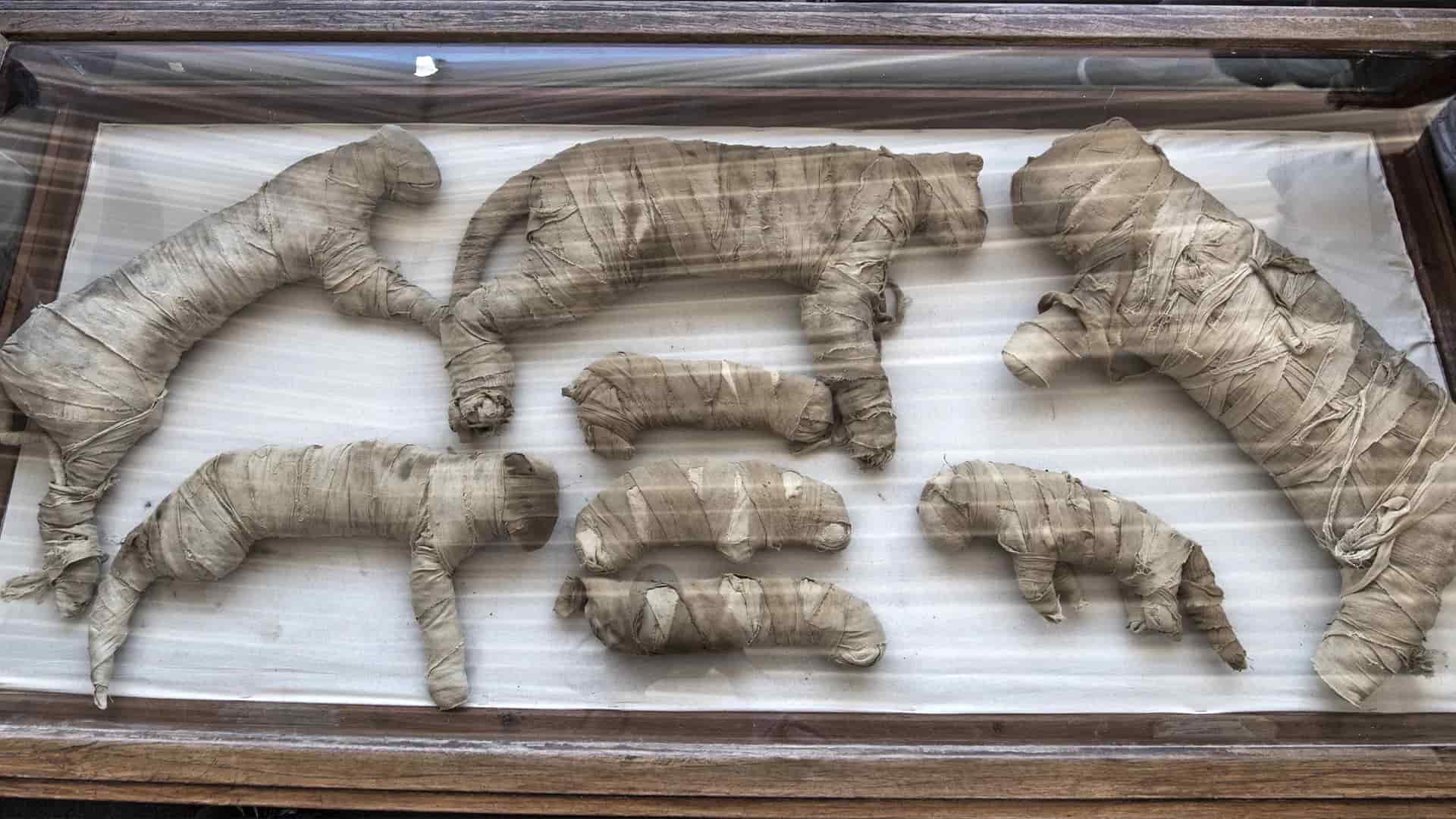 Bigpicture ru unique and strange burial rituals
