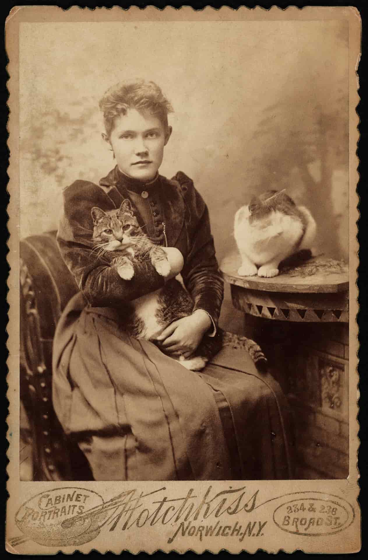 Молодая женщина с двумя кошками, викторианский студийный портрет, 1890-е