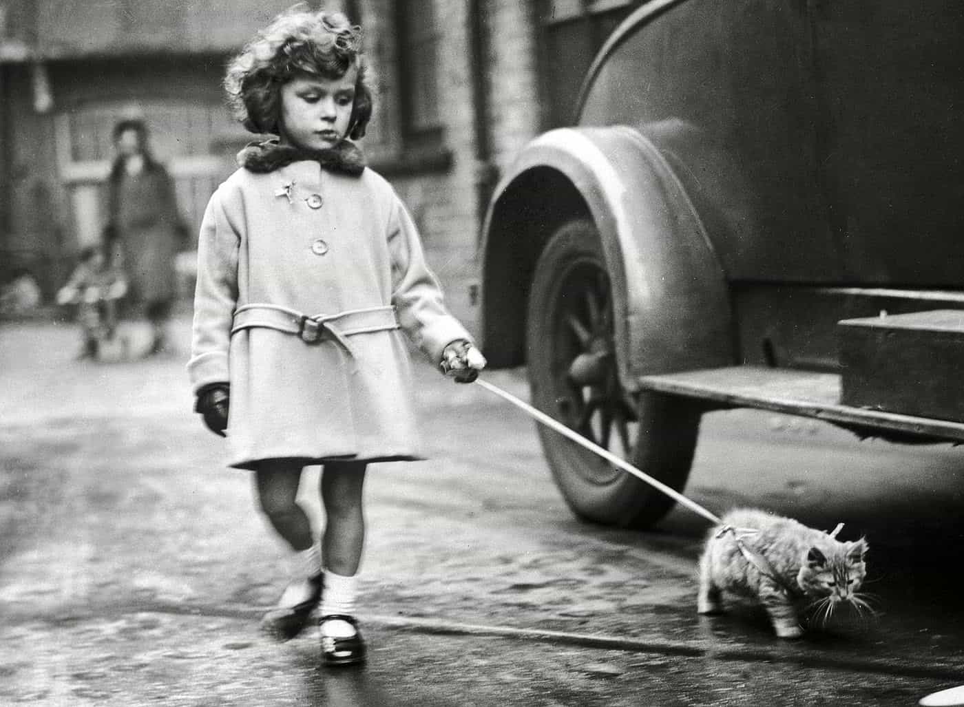 Девочка ведёт котёнка на поводке на выставке кошек в Лондоне, 1931 год