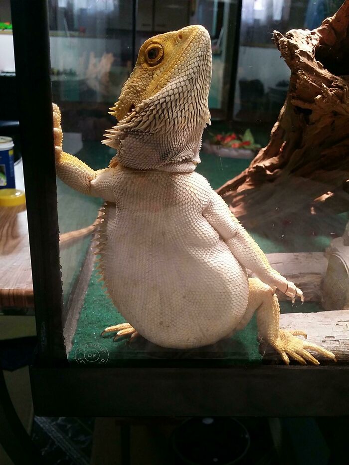 Привет