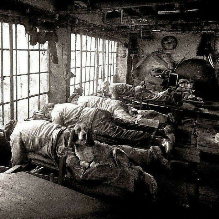 Французские точильщики ножей за работой, 1902 год
