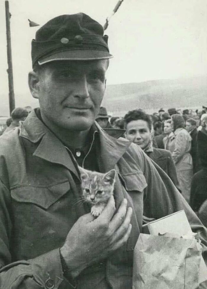 Солдат с котёнком в кармане гимнастёрки, 1959 год