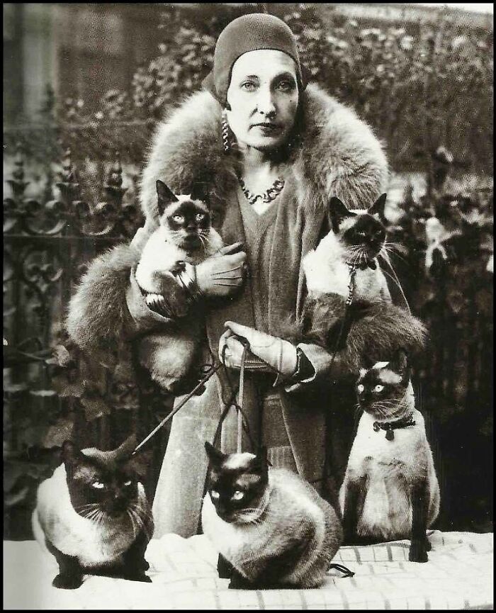 Миссис Флейтман с пятью сиамскими кошками-призёрами, Париж, 1930 год