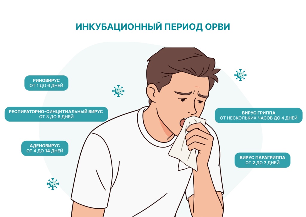 Bigpicture ru инкубационный период вируса