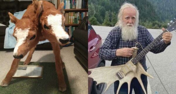 22 странные фотографии из реальной жизни, в которые трудно поверить