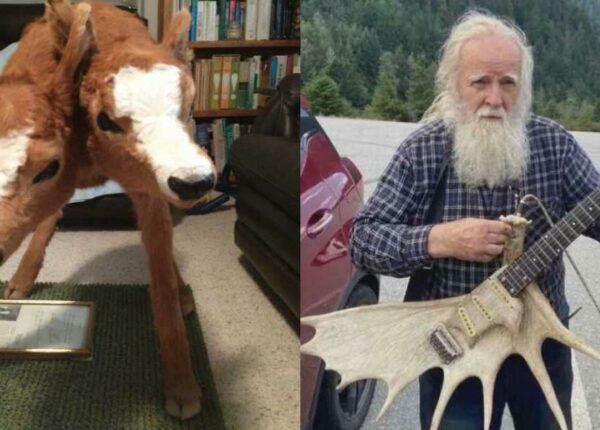 22 странные фотографии из реальной жизни, в которые трудно поверить