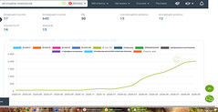 Bigpicture ru отзыв о курсе seo флагман антона маркина 07