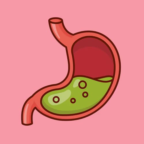 Bigpicture ru stomach acid cartoon vector icon illustration education object icon isolated flat vector 138676 10396