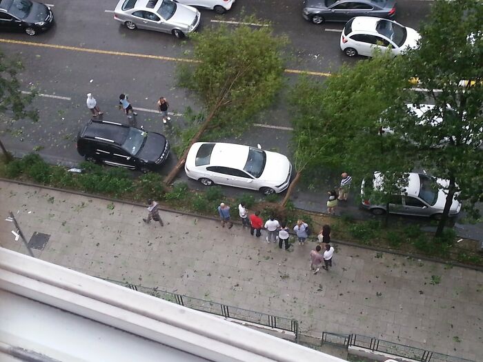 Упавшее после бури дерево перегородило дорогу, люди смотрят