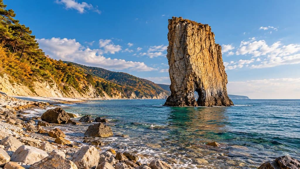 Bigpicture ru геленджик
