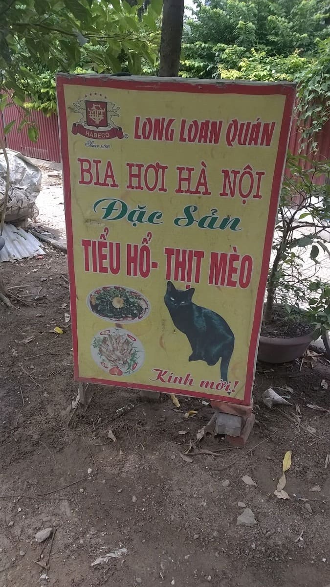 Вывеска вьетнамского ресторана с надписью &laquo;thịt m&egrave;o&raquo; &mdash; кошачье мясо
