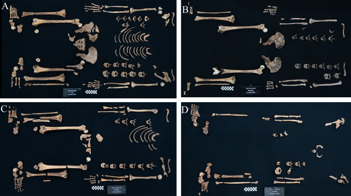 Skeletal layouts reveal the limited picture archaeologists have to work with when piecing together a life