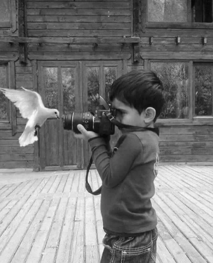 Ребёнок фотографирует голубя. Фото Дья Рина